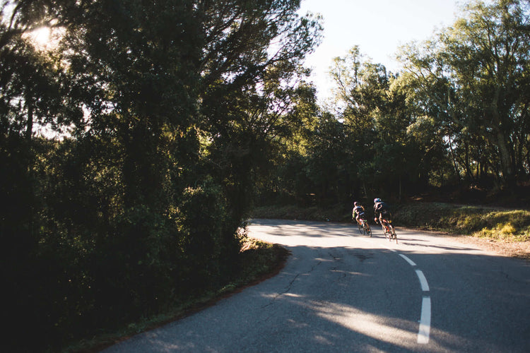 Your Destination for Cycling Excellence!