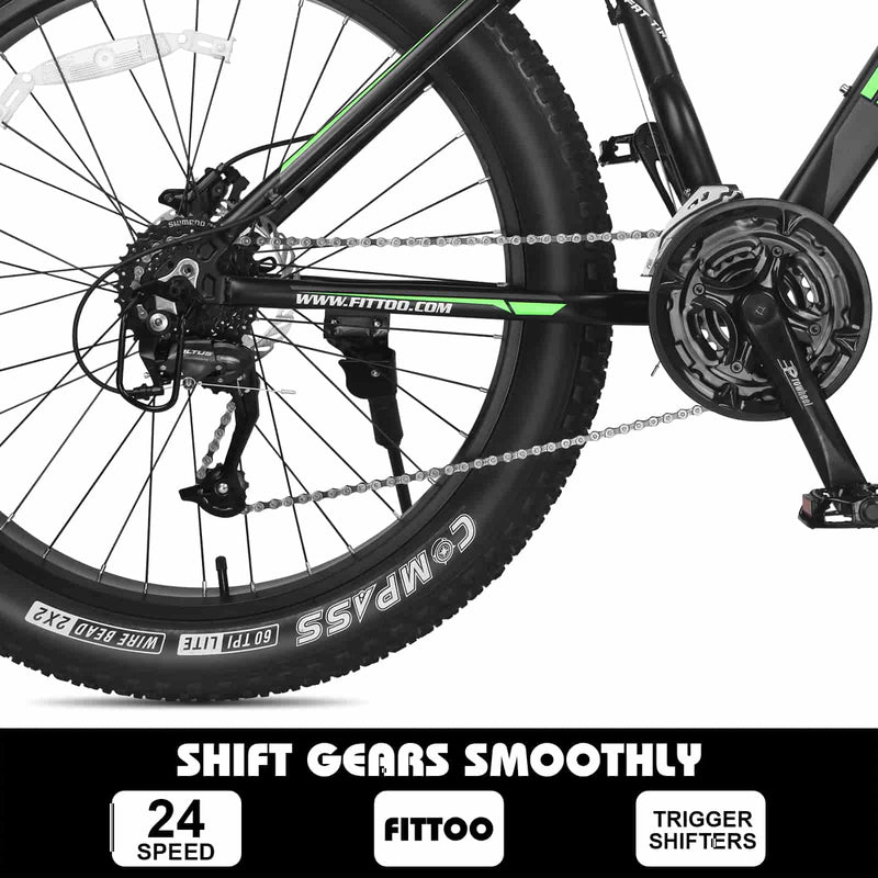 Load image into Gallery viewer, Fat Bike