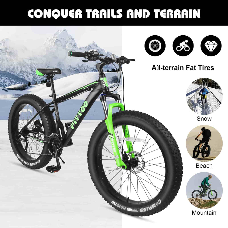 Load image into Gallery viewer, Fat Bike