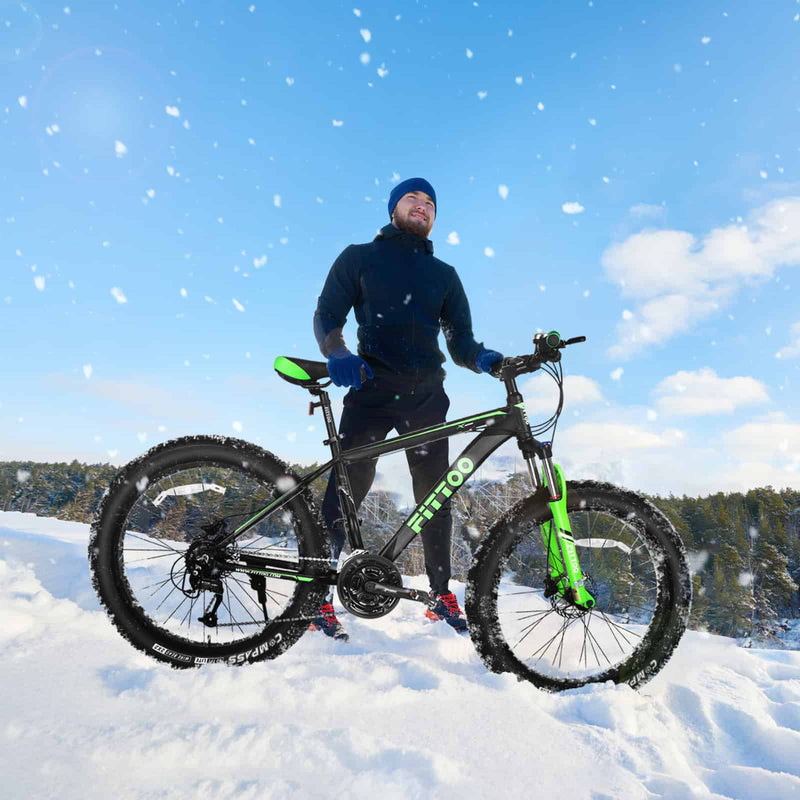 Load image into Gallery viewer, Fat Bike
