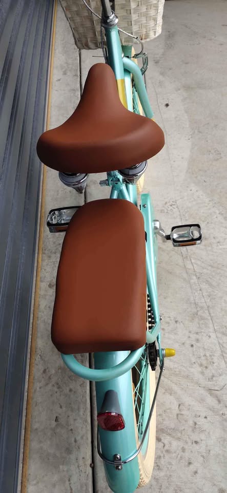 Load image into Gallery viewer, FITTOO Jeff 20" Girls Bike, Kids Bicycle for Girls Ages 5-10, Steel Frame, Adjustable Seat, Front &amp; Rear Hand Brakes
