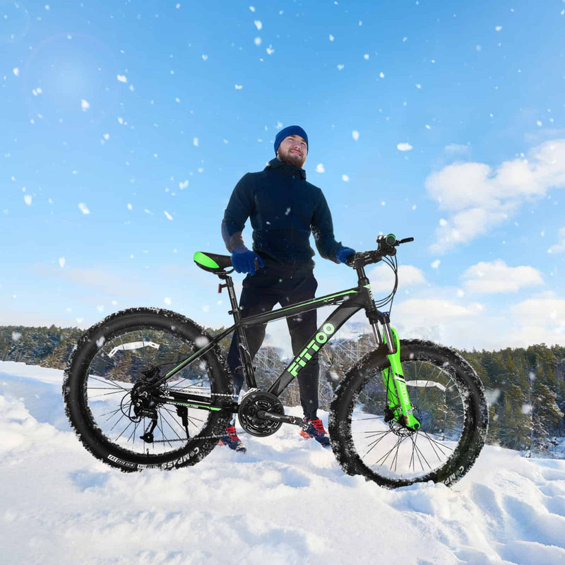 Load image into Gallery viewer, Fat Bike
